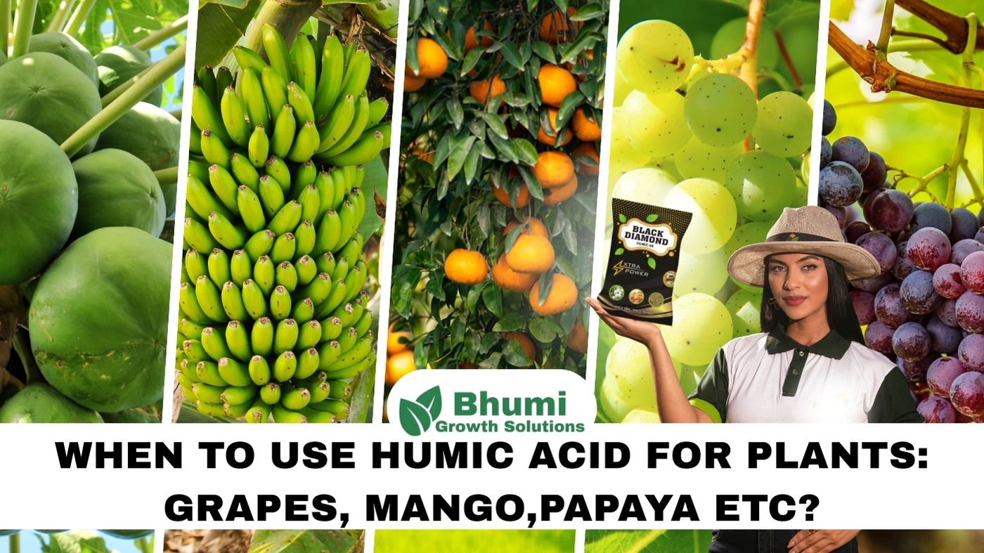 When to Use Humic Acid for Plants, Grapes, and Papaya