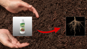 Swarn Paushak by Bhumi Growth Solutions