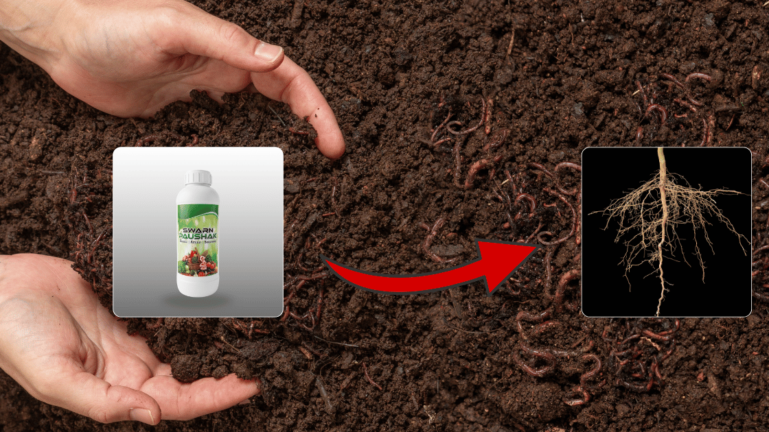 Swarn Paushak by Bhumi Growth Solutions