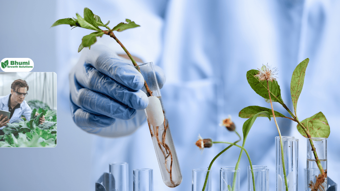 Maximizing Crop Yields with Natural Plant Biostimulants What You Need to Know